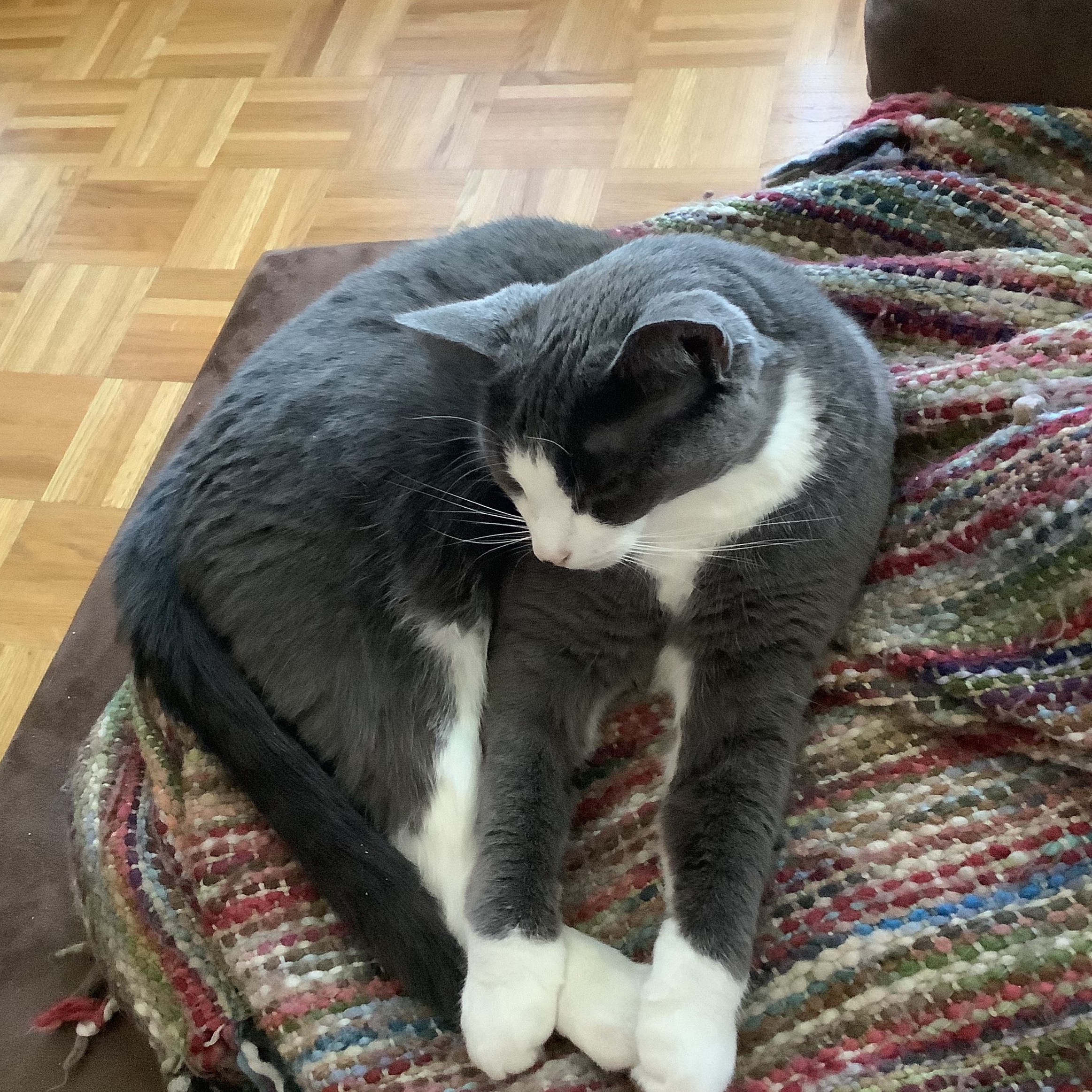 Image du participant