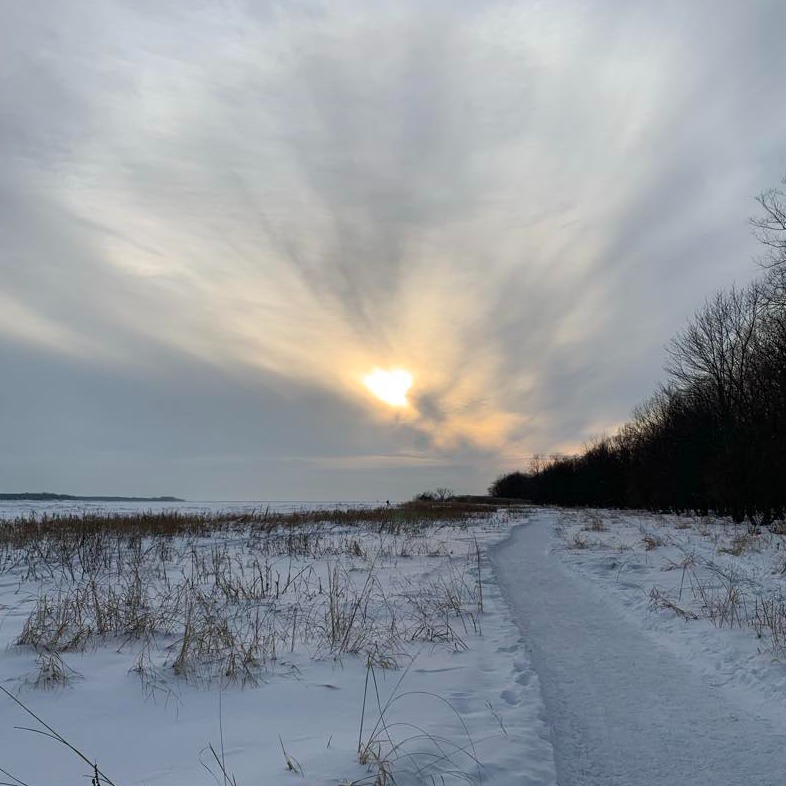 Image du participant