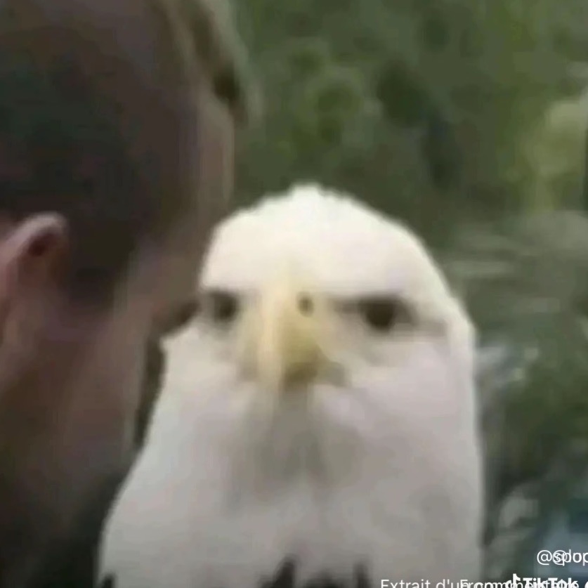 Image du participant