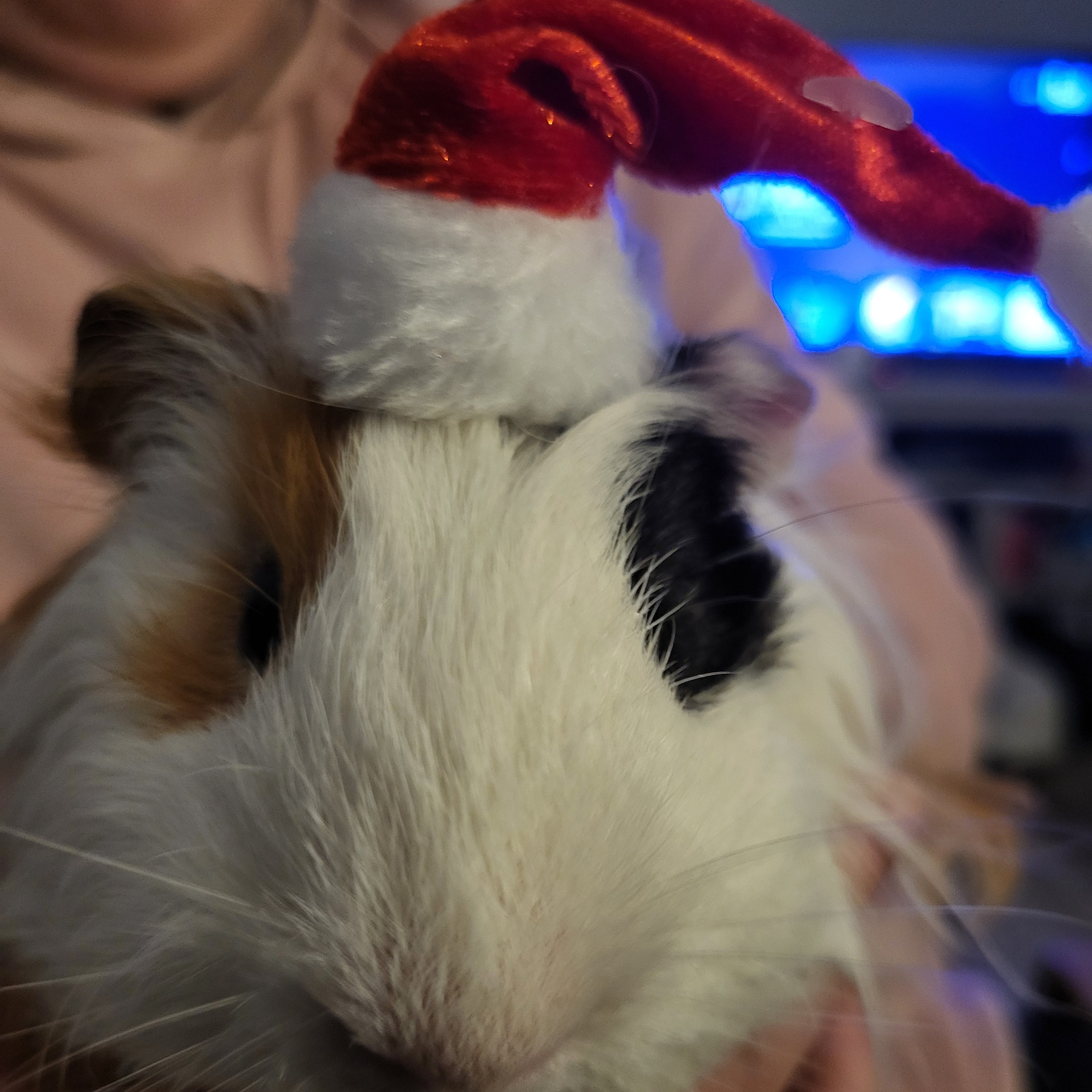 Image du participant