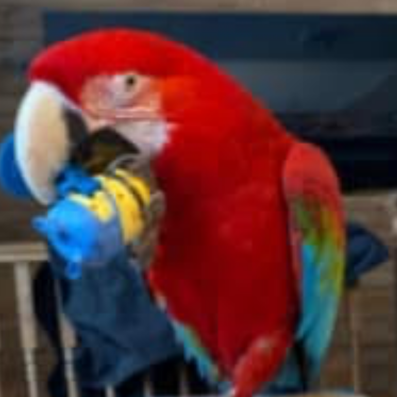 Image du participant