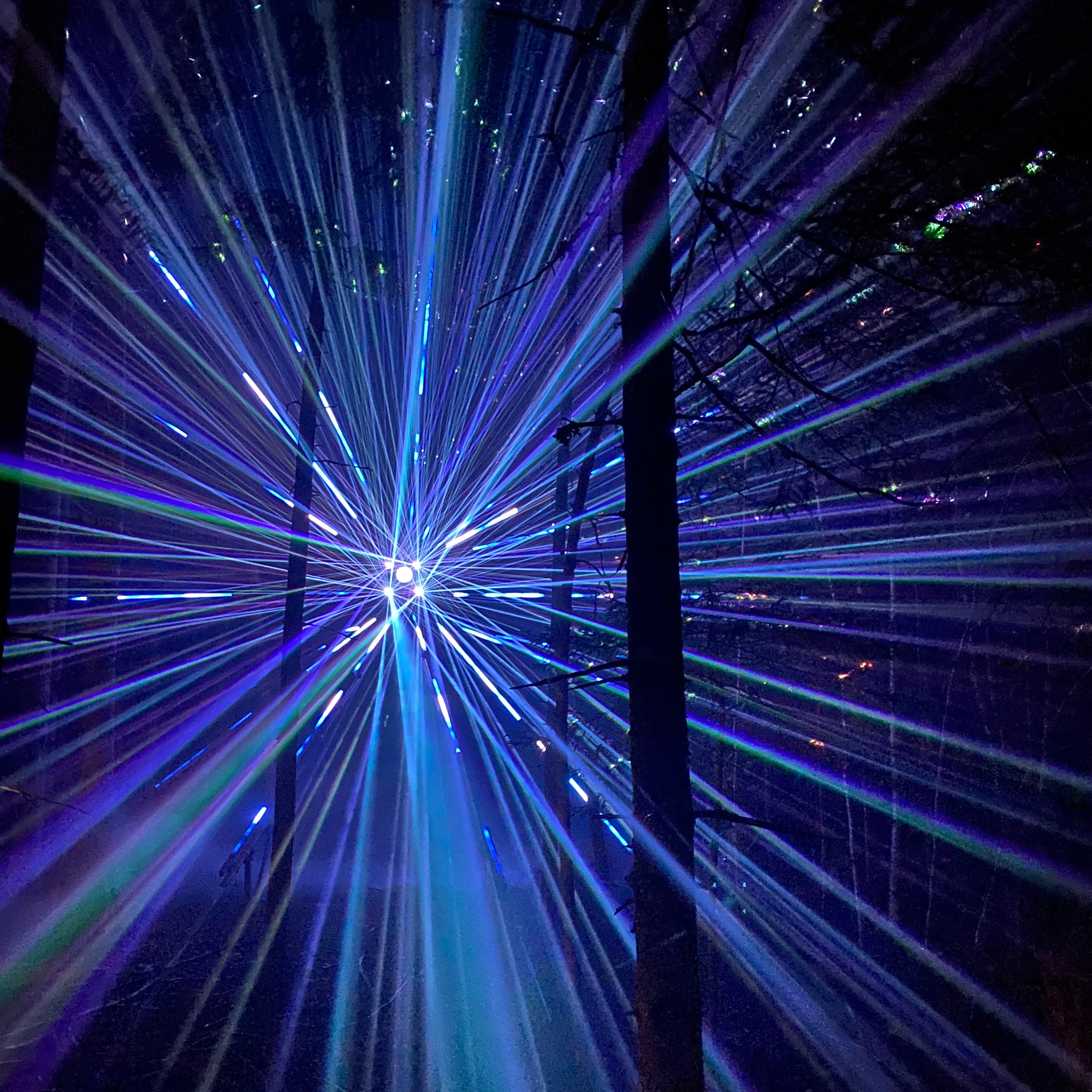 Image du participant