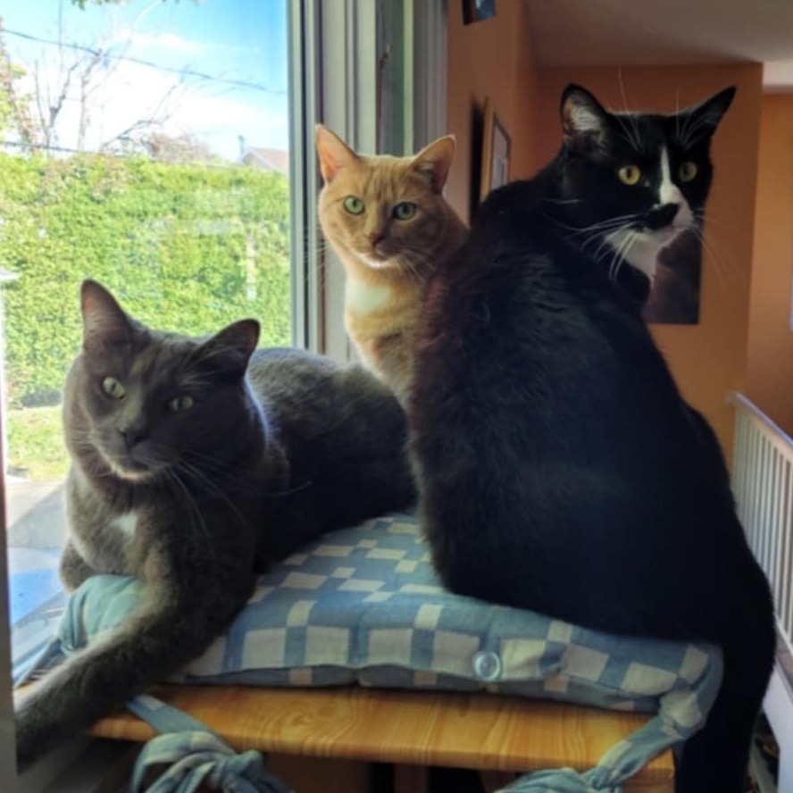 Image du participant