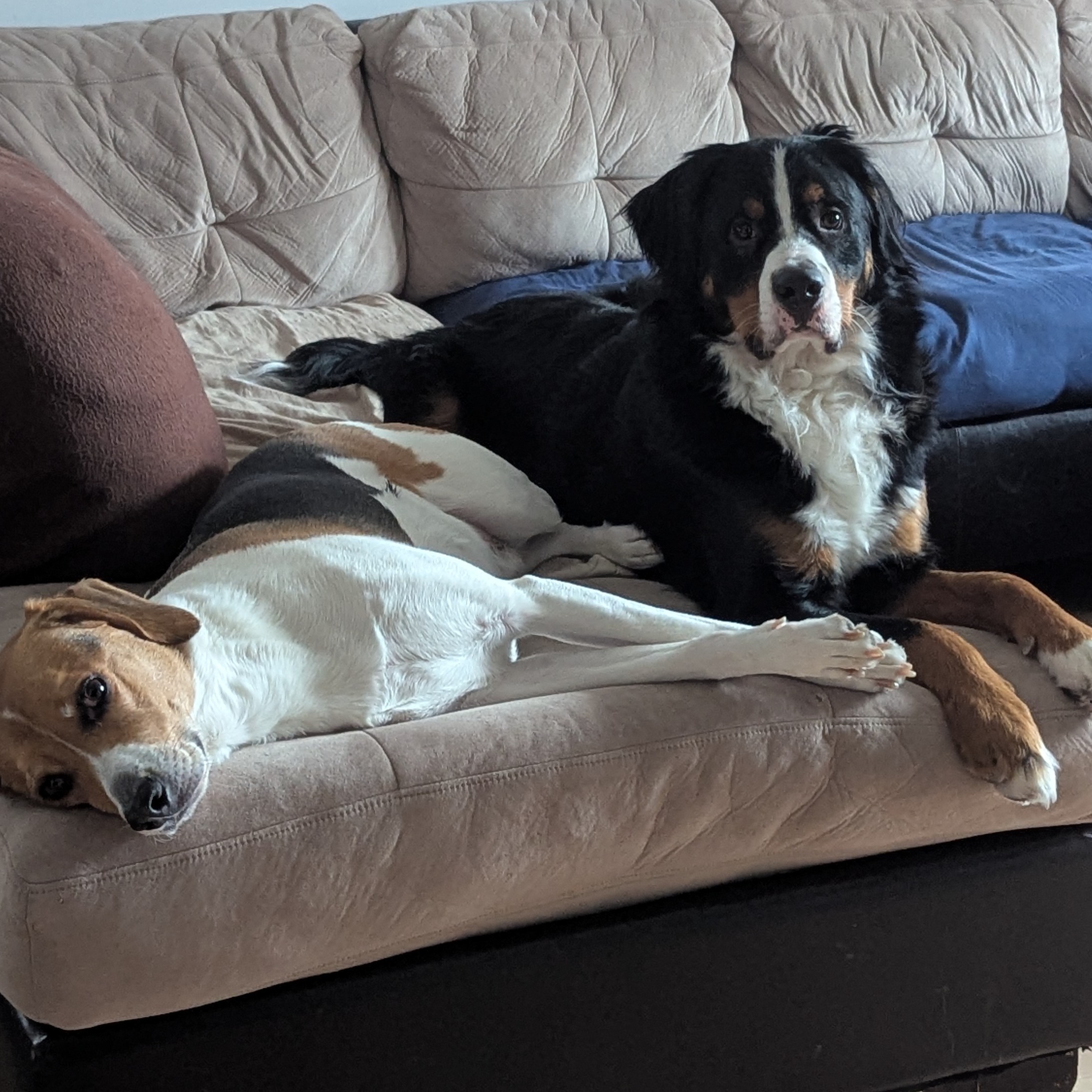 Image du participant