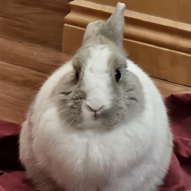 Image du participant