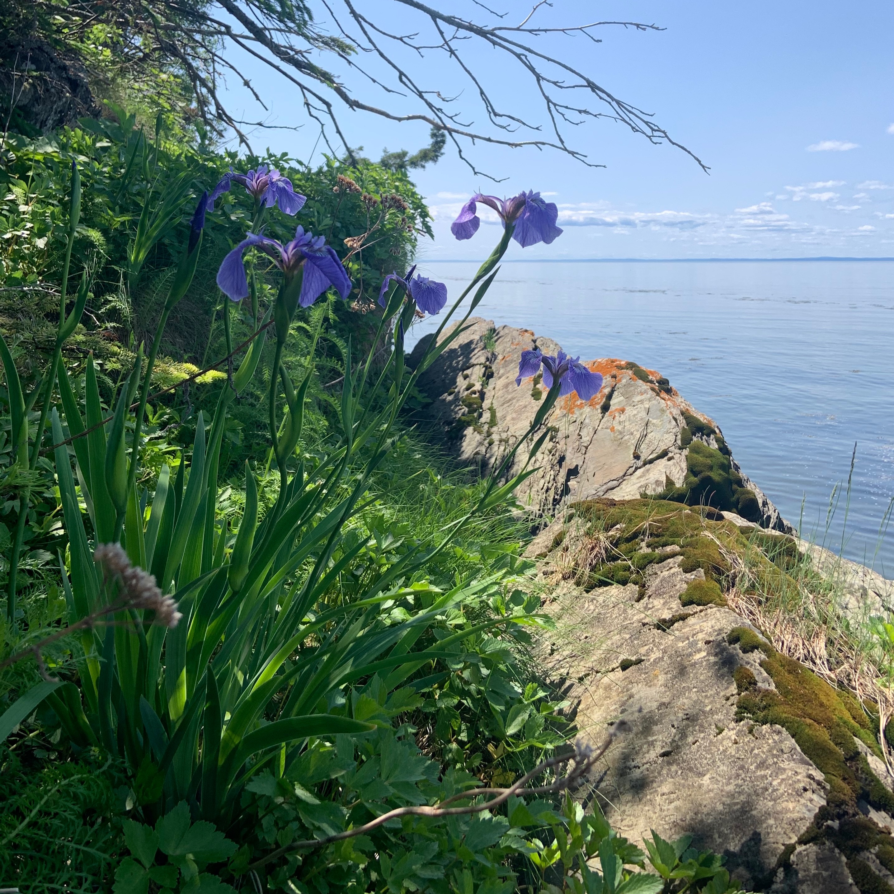 Image du participant