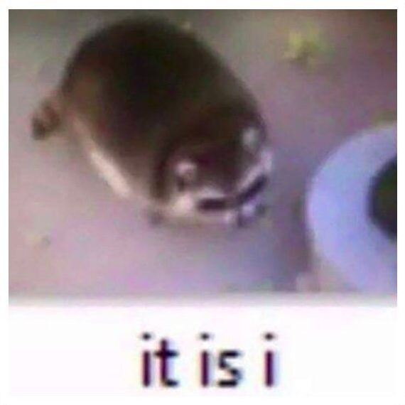 Image du participant