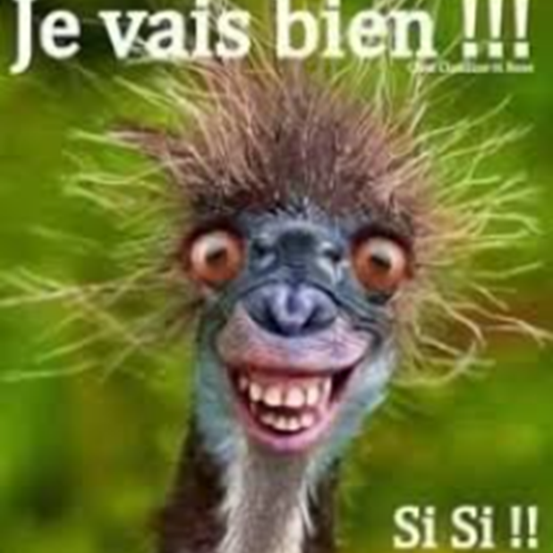 Image du participant/de la participante