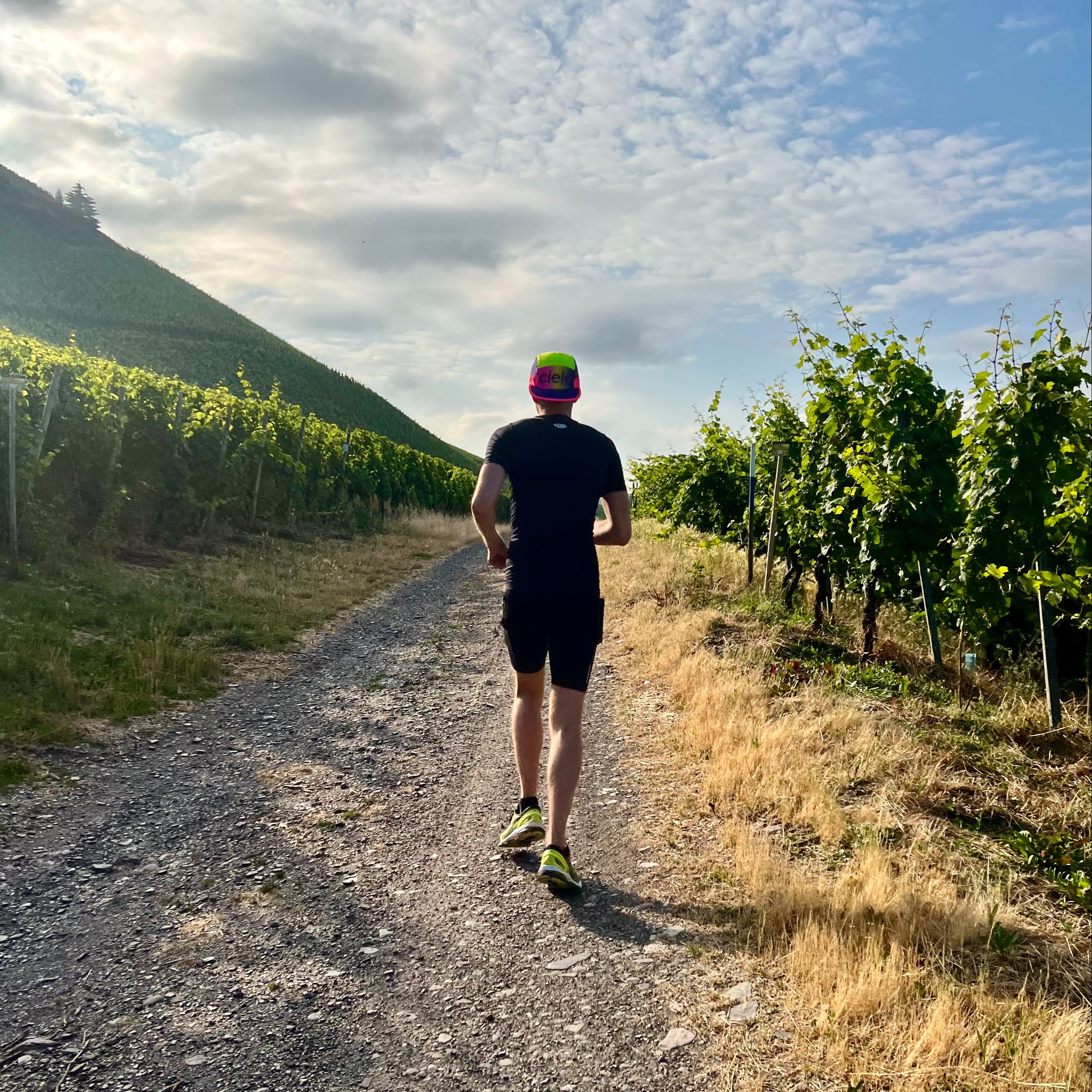 Image du participant/de la participante