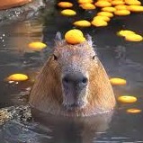 Image du participant