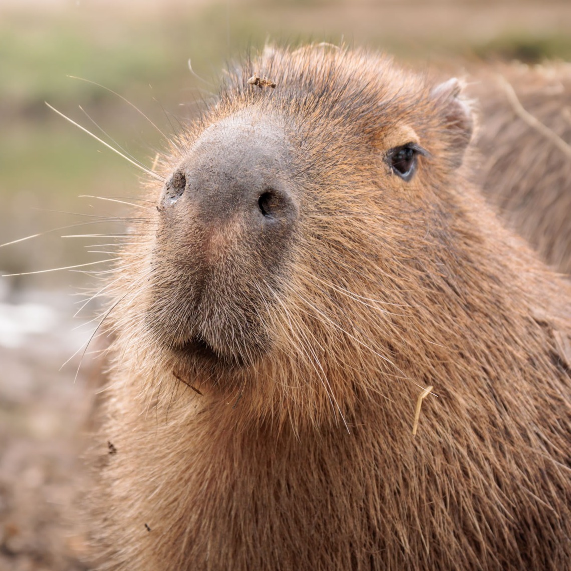 Image du participant