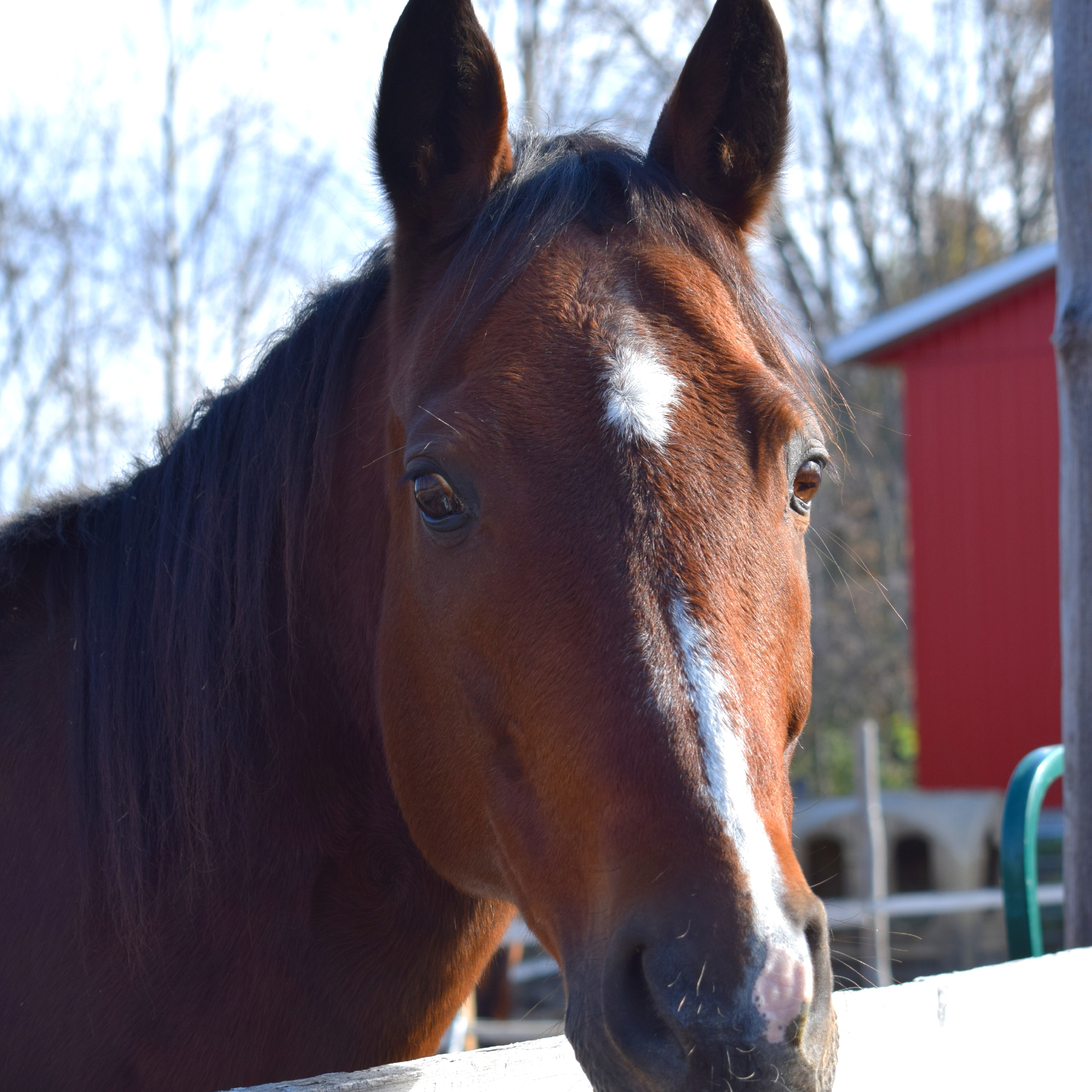 Image du participant