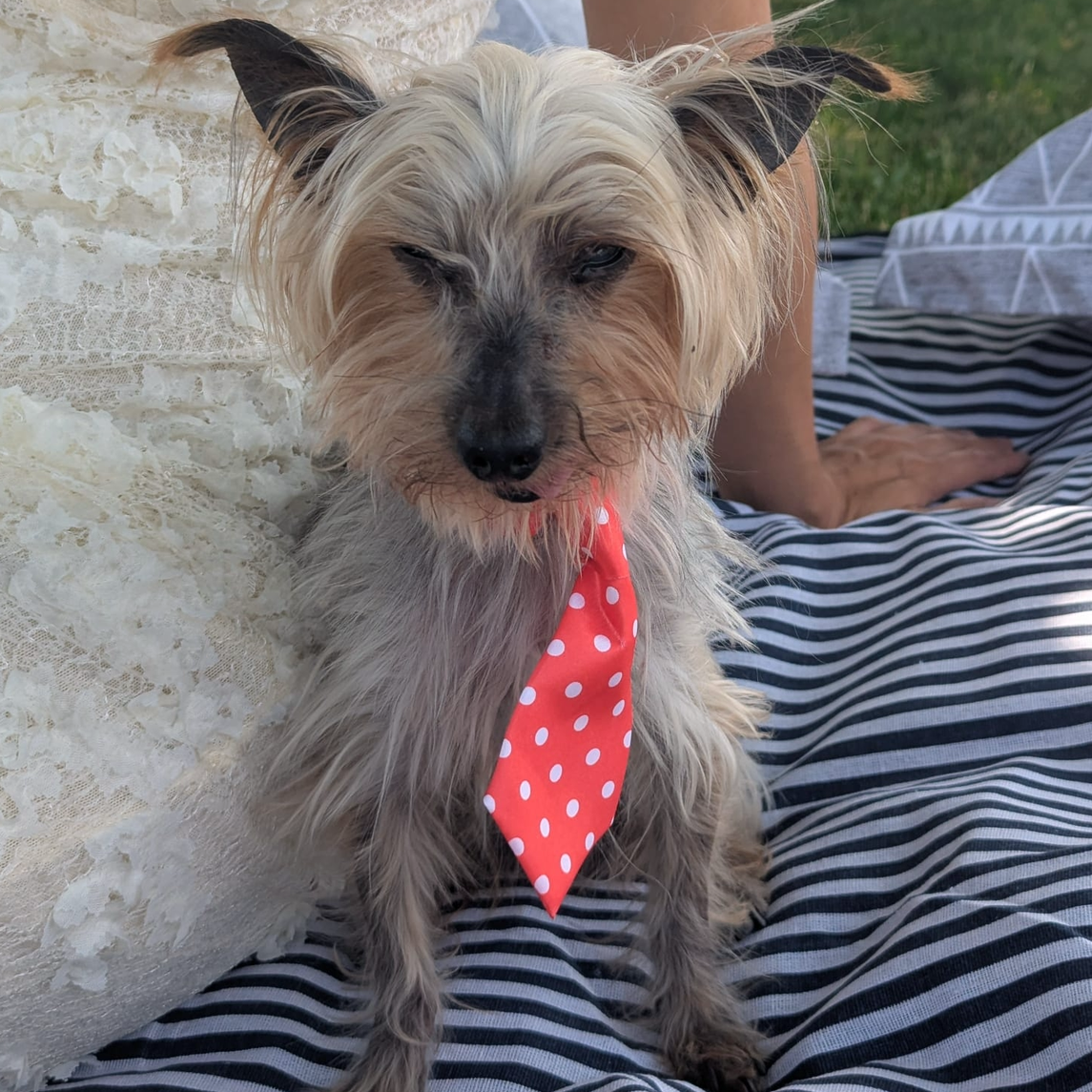 Image du participant