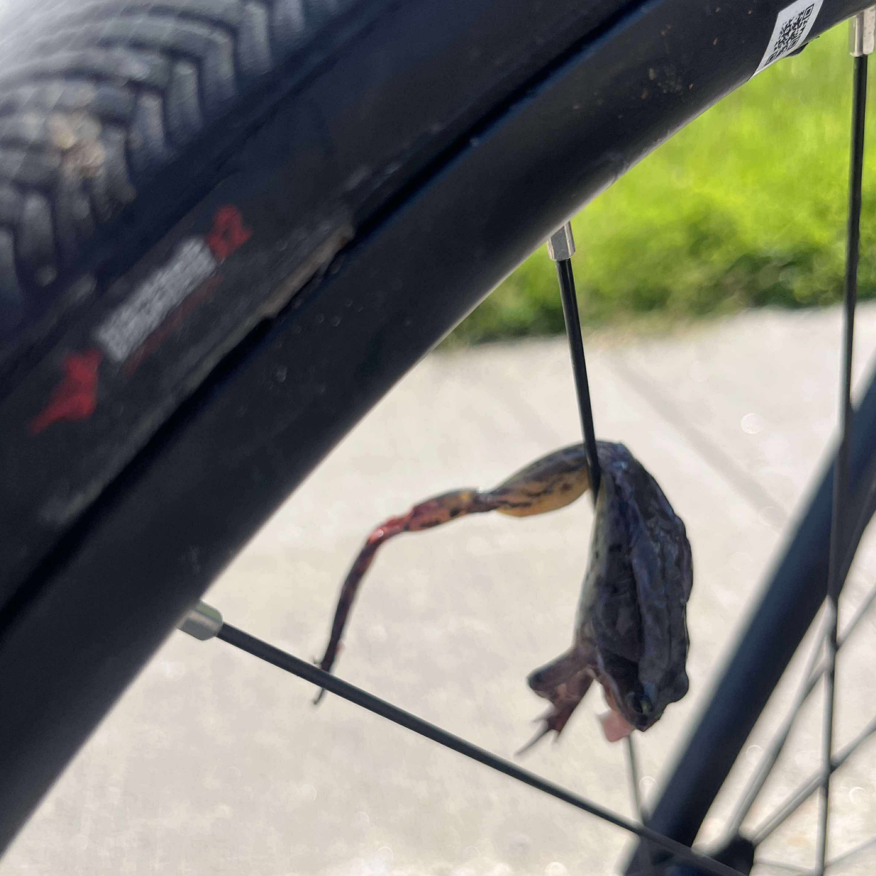 Image du participant