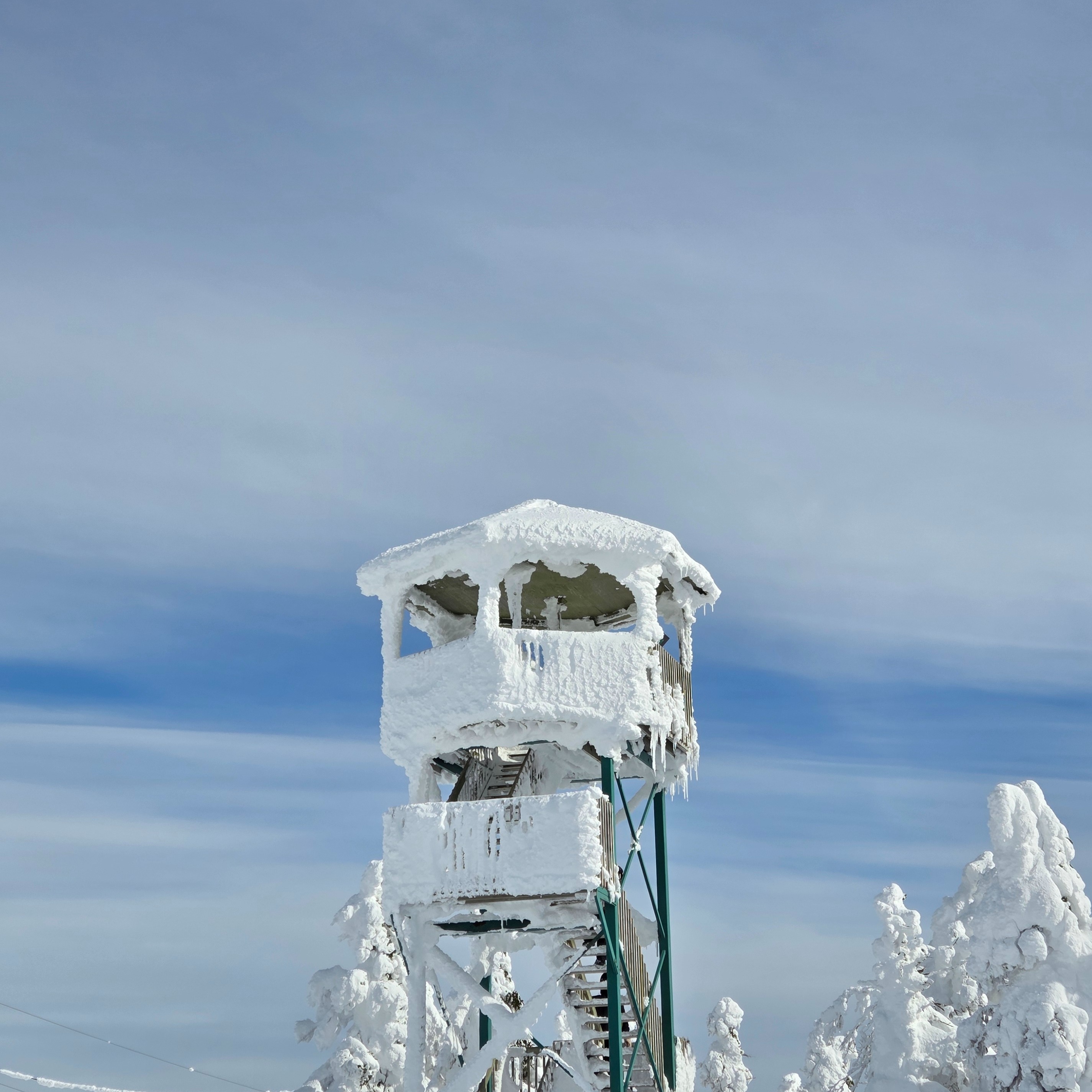 Image du participant