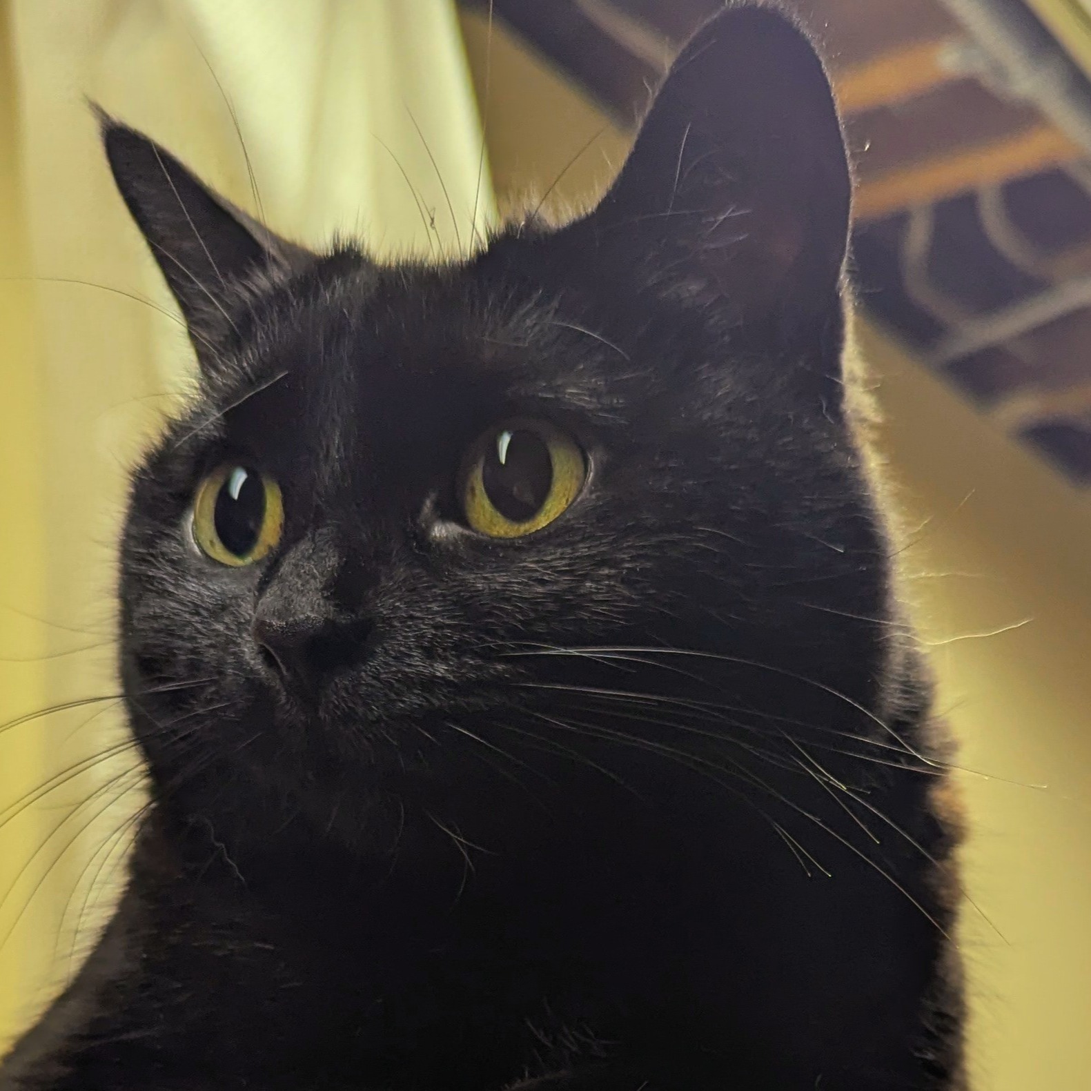 Image du participant