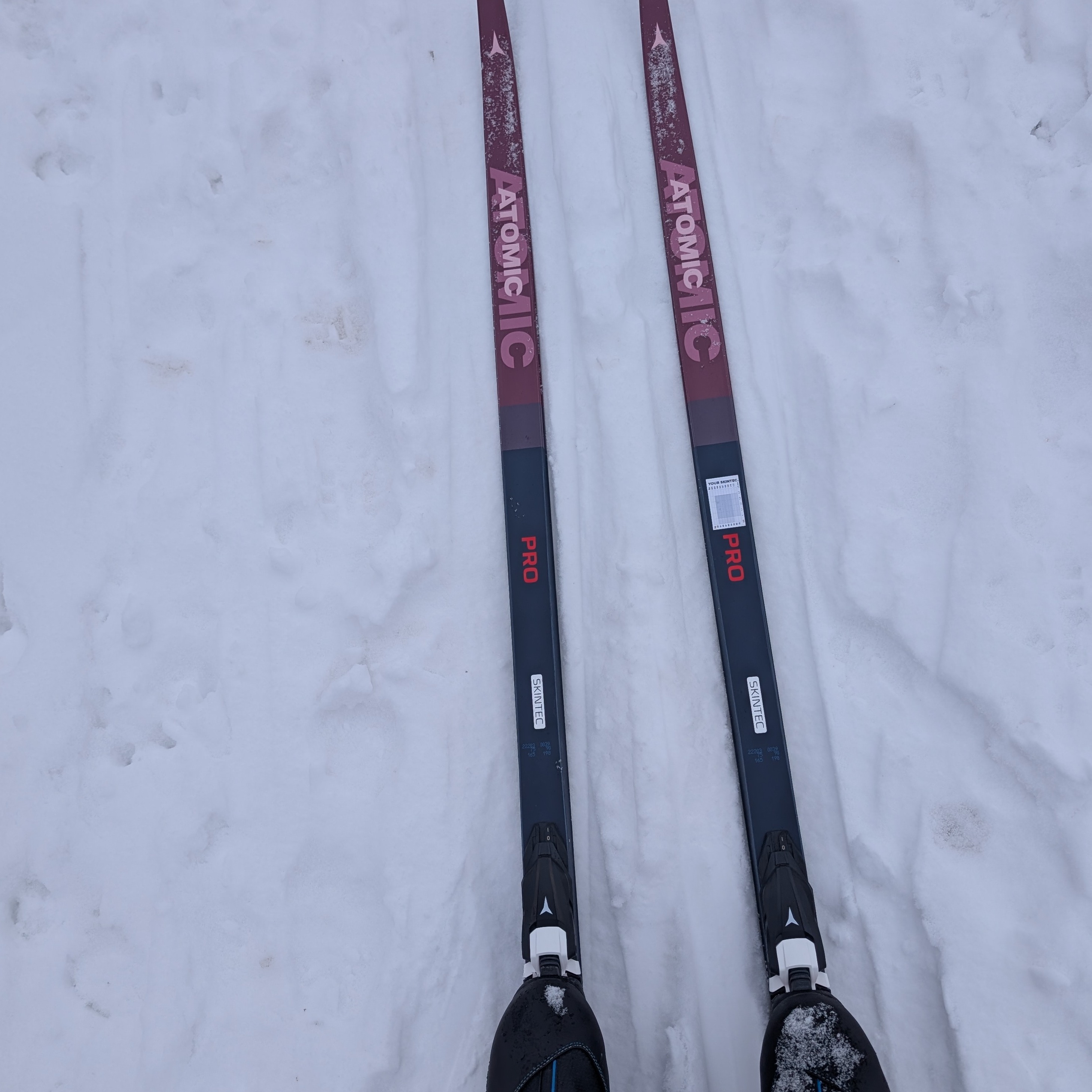 Image du participant