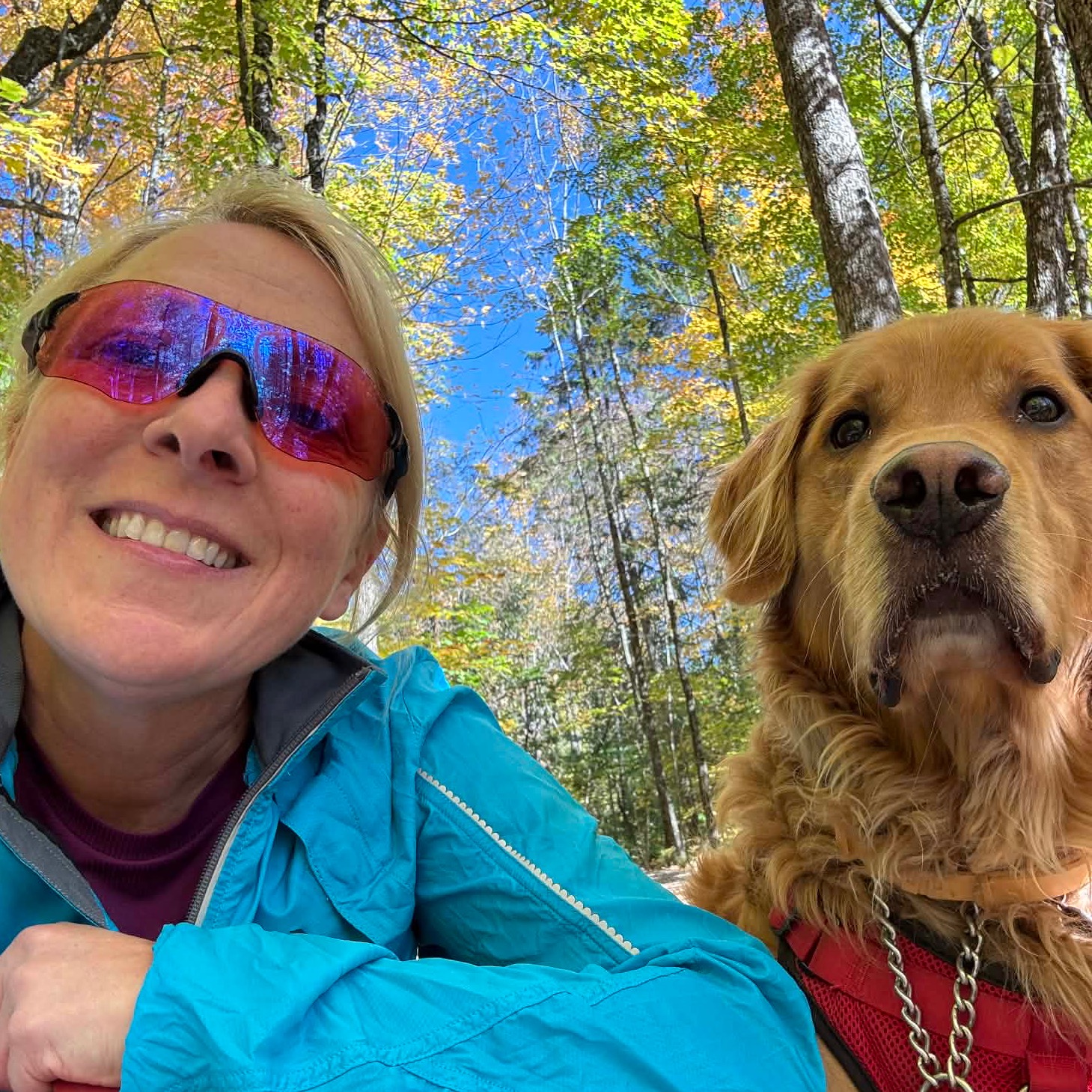 Image du participant