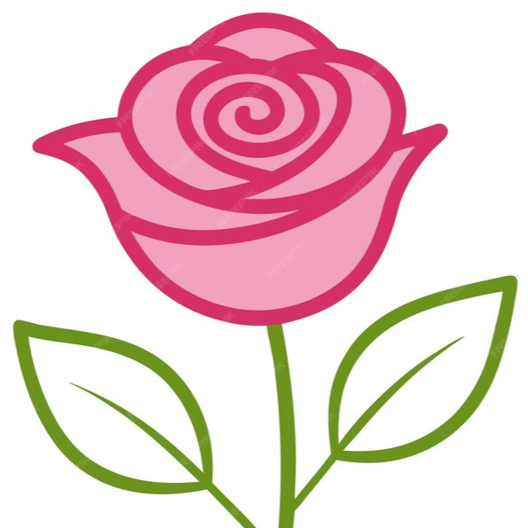Image de l'équipe