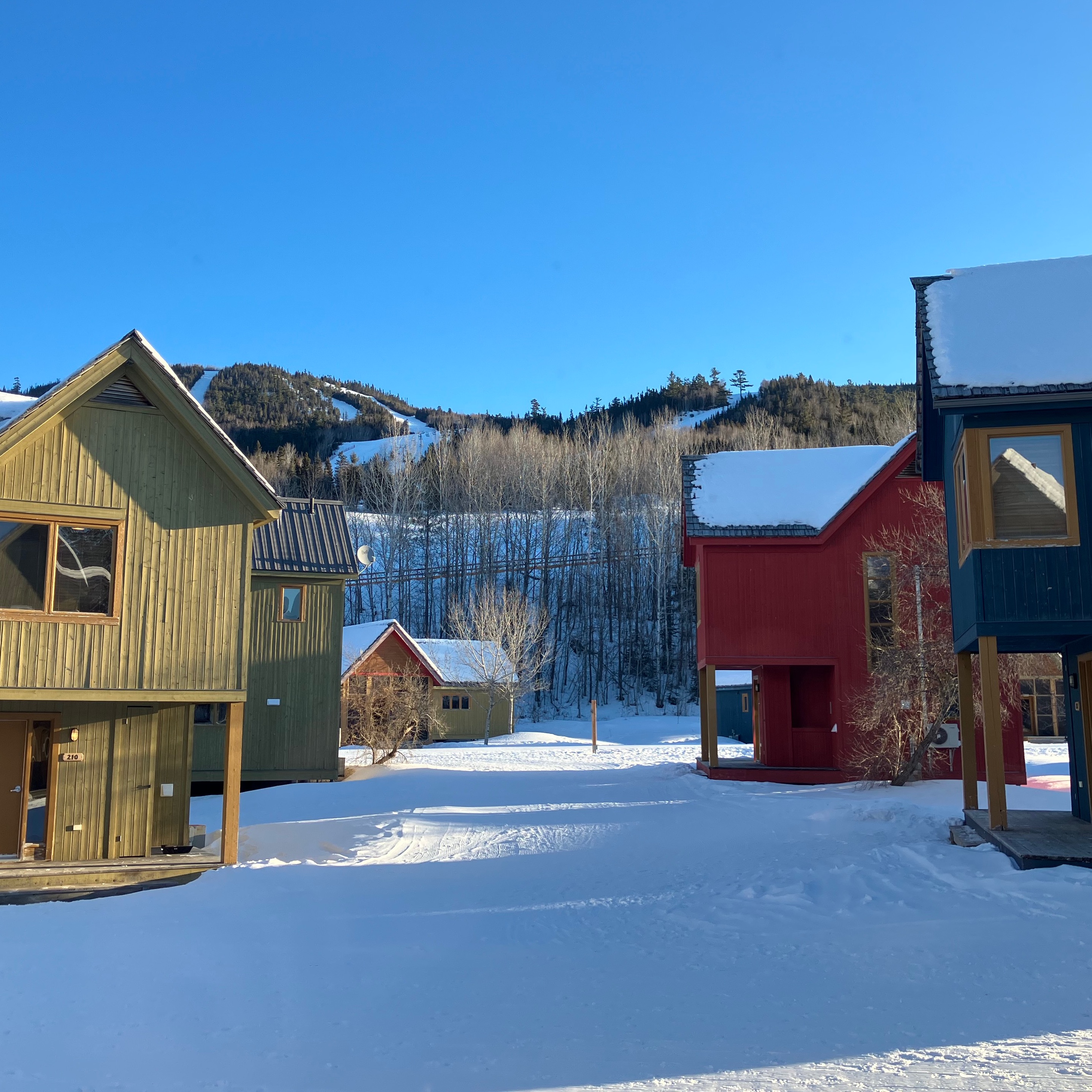 Image du participant