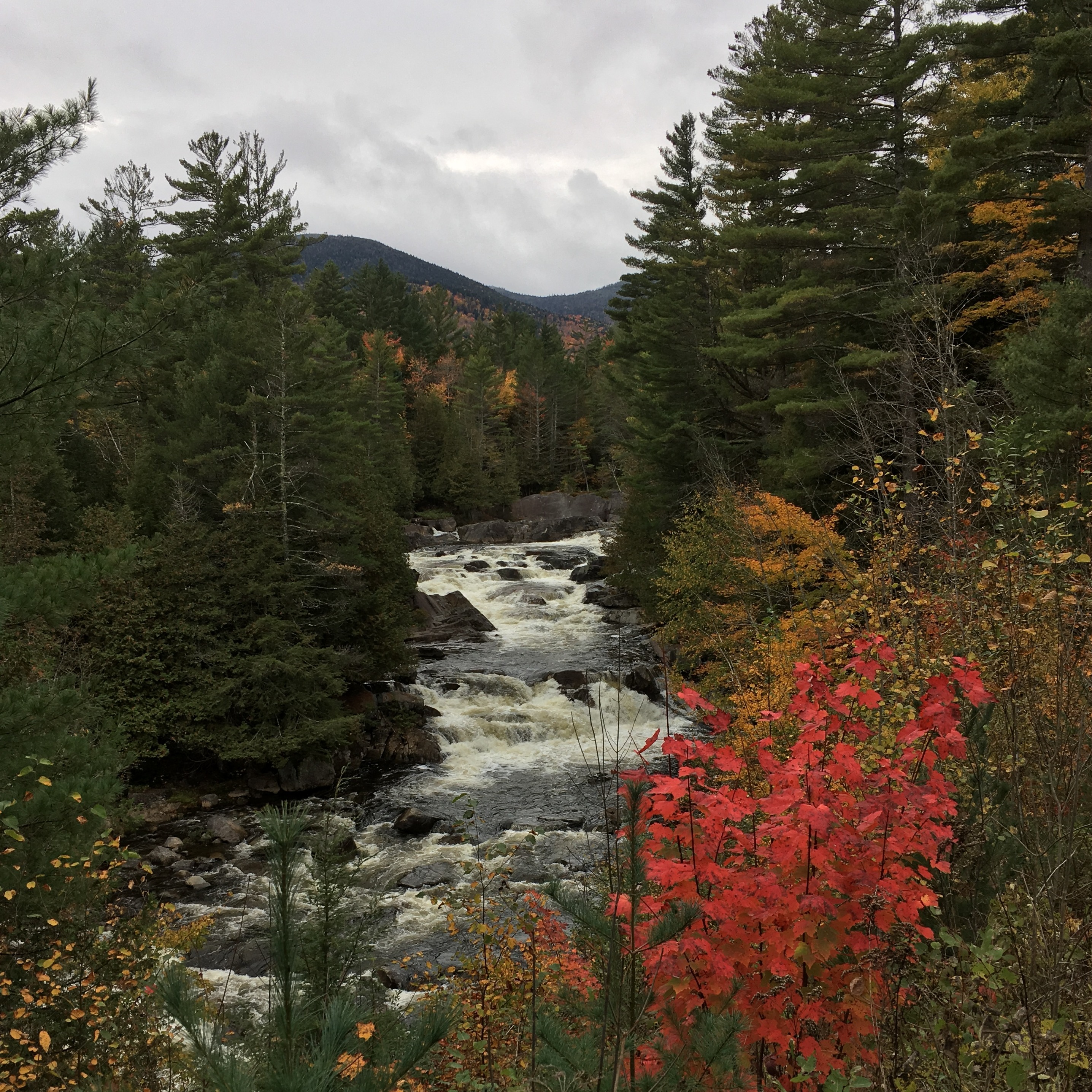 Image du participant