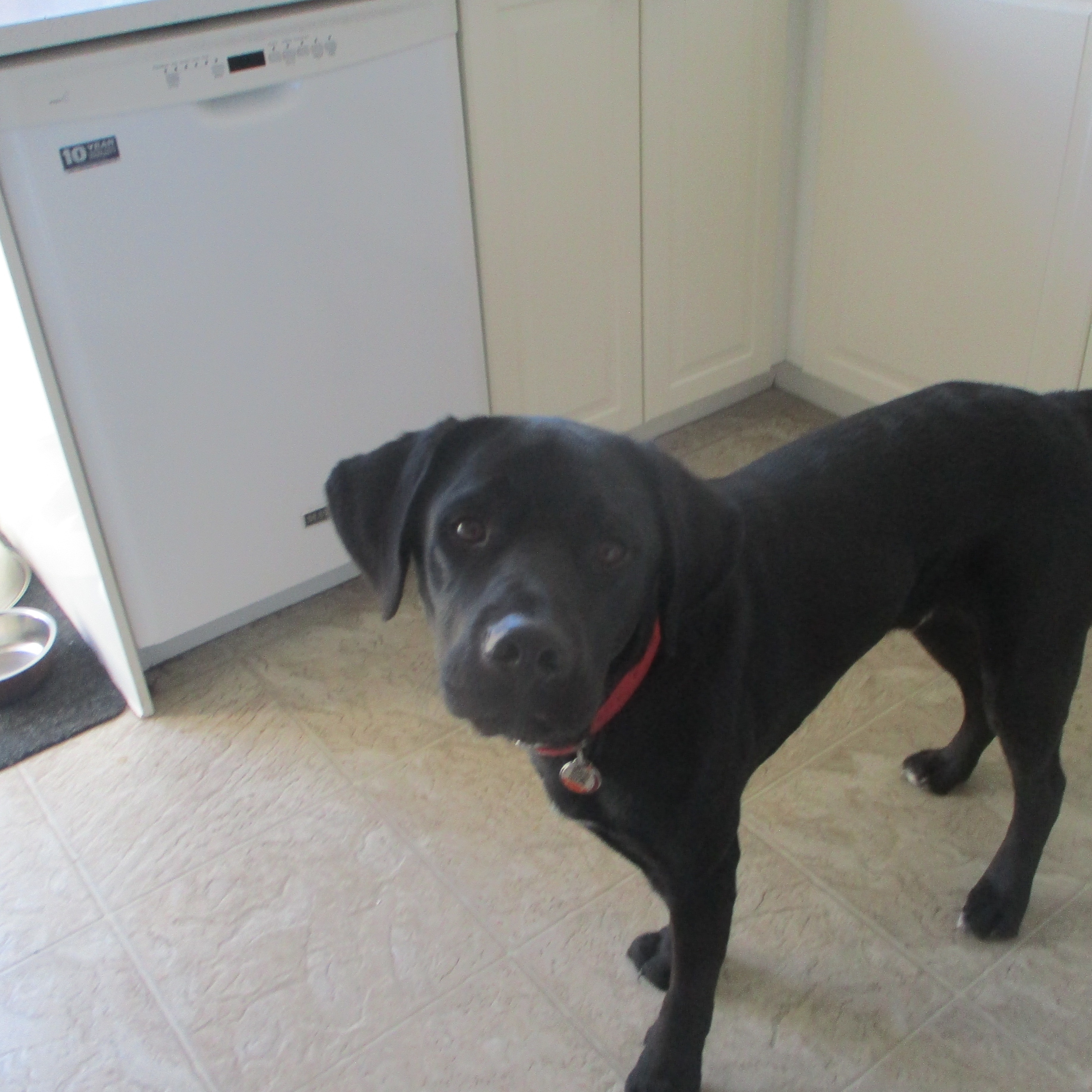 Image du participant