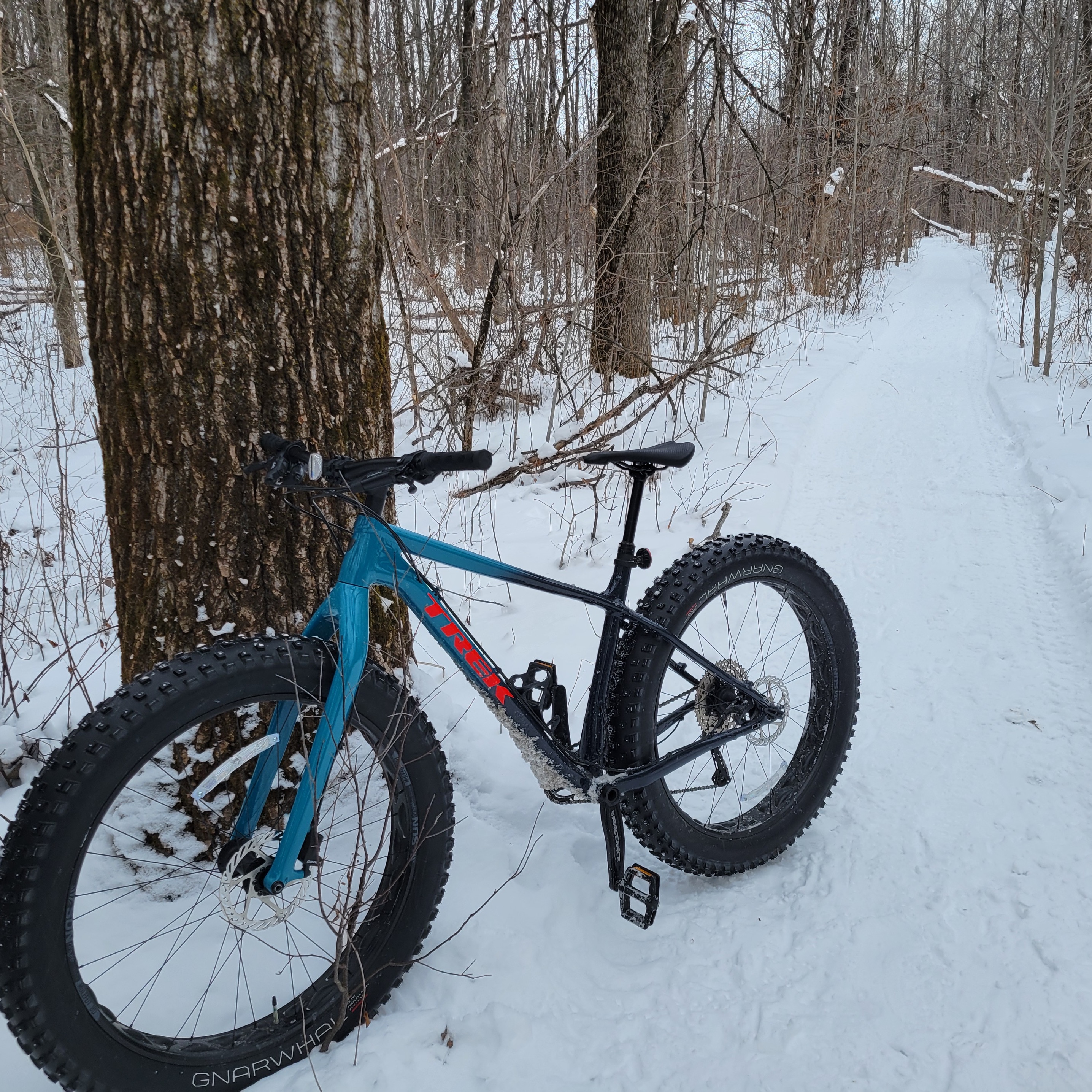 Image du participant