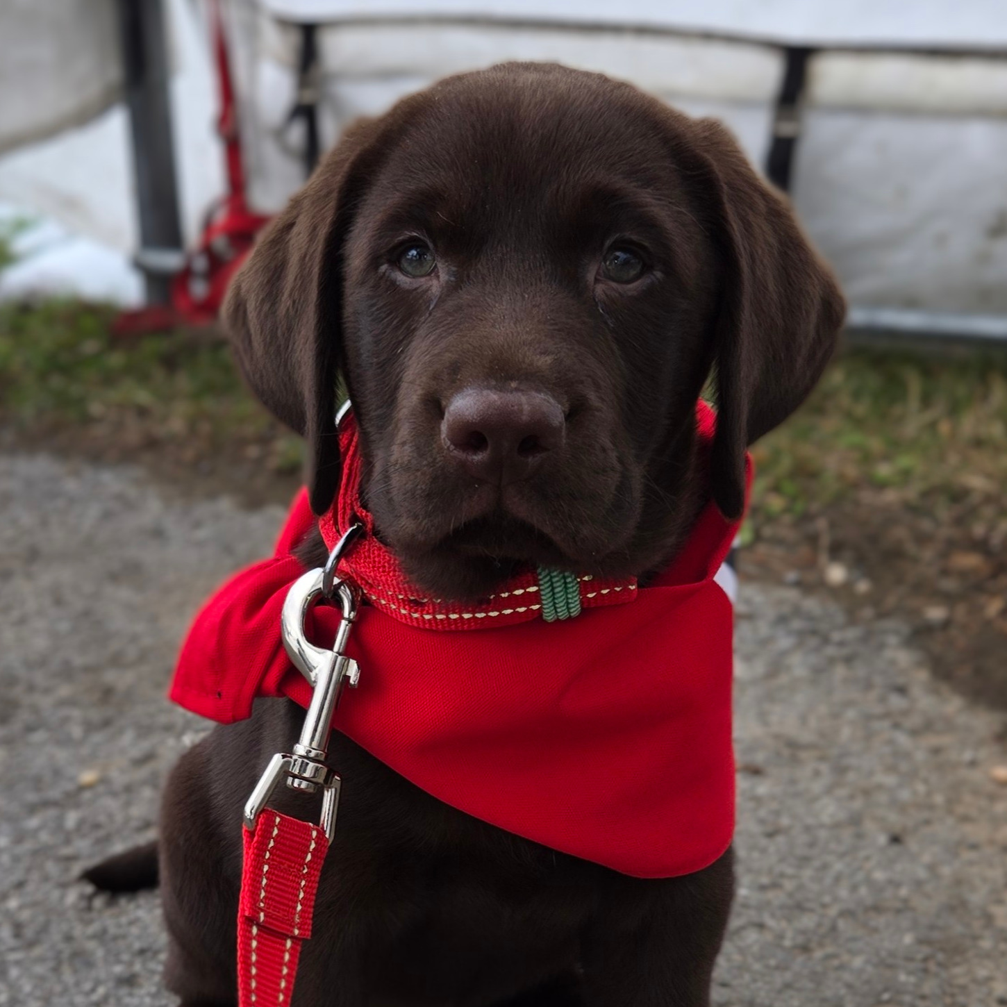 Image du participant