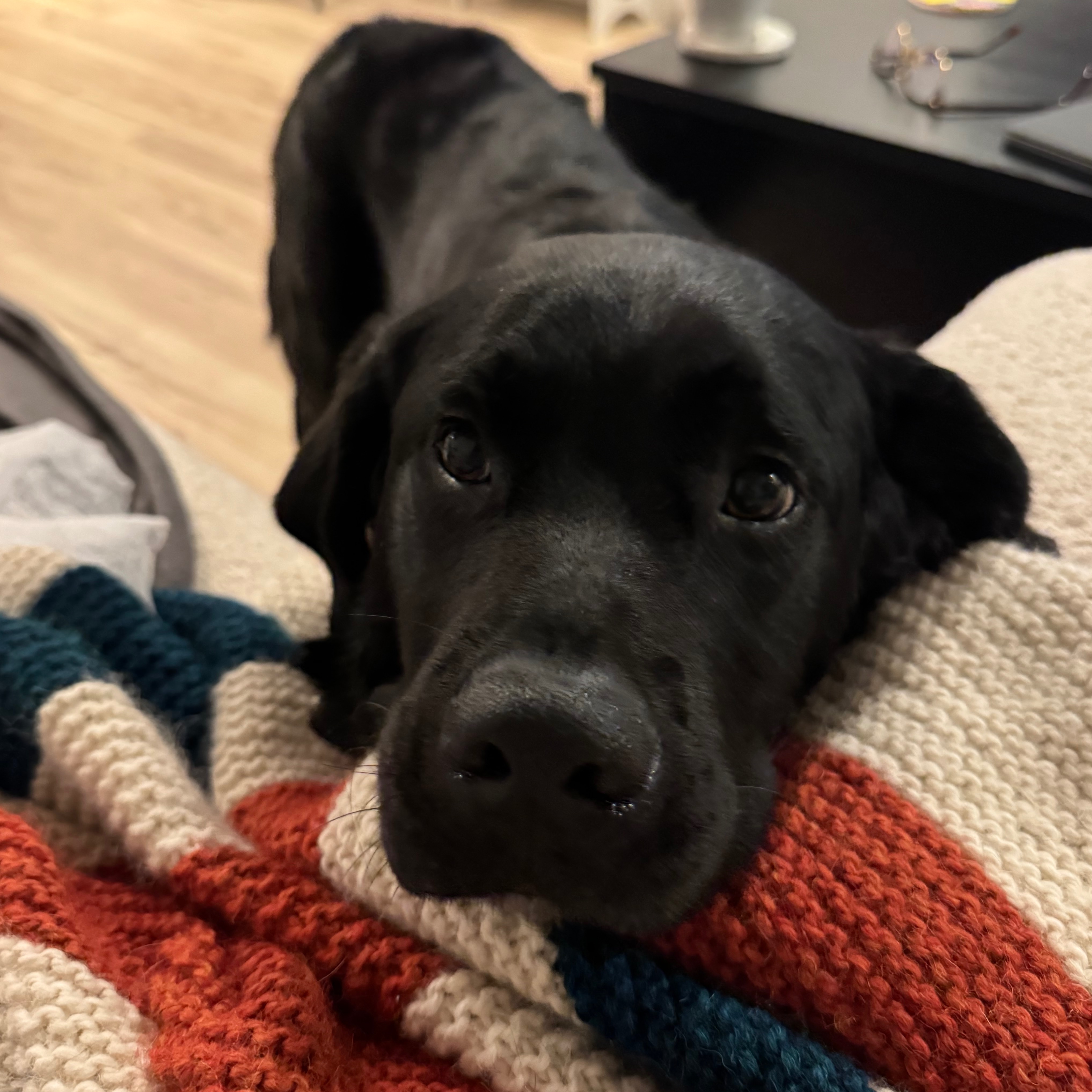 Image du participant