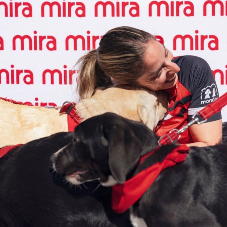 Image du participant