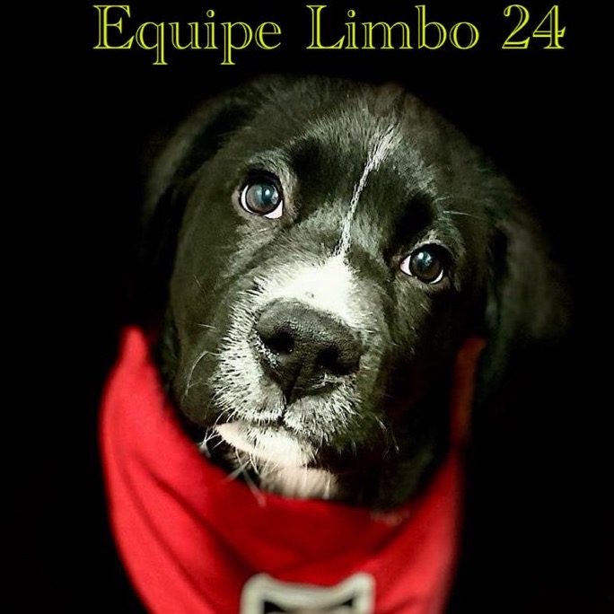 Image de l'équipe
