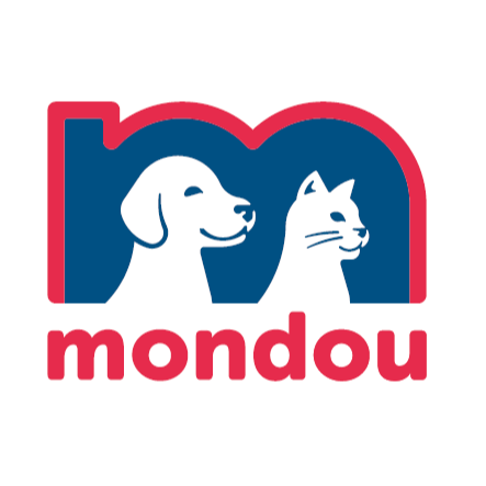 Image de l'équipe