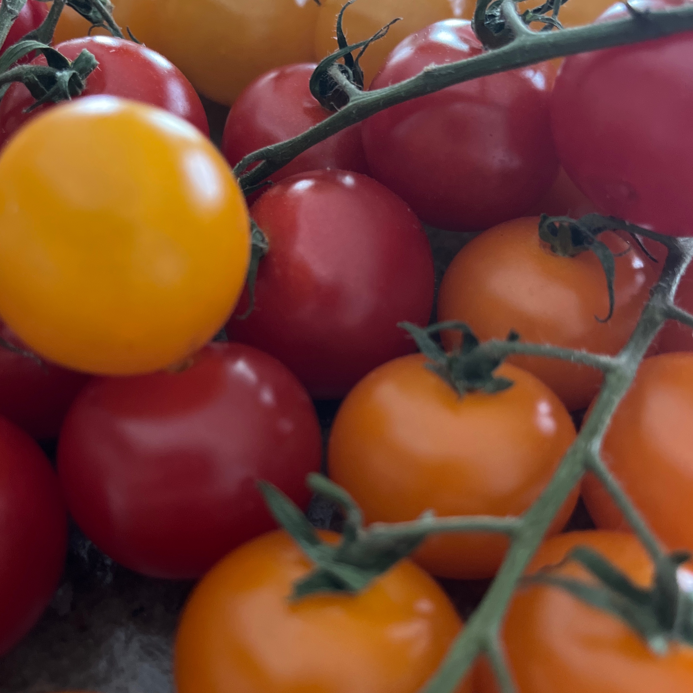 Image du participant